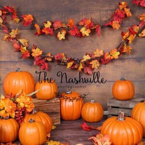 Holiday set-up Fall Pumpkins digitale achtergrond Download Only