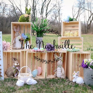 Newborn Toddler Easter bunny digital backdrop  Download Only