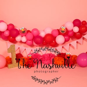 First Birthday character themed digital background  Download Only