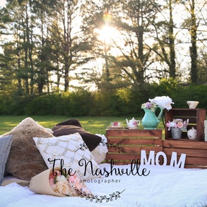 Mother&#39;s Day photography set up digital background backdrop Download Only Download Only