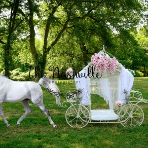 DIGITALE Peuter koets witte paard sprookjesachtige achtergrond Download Only Download Only