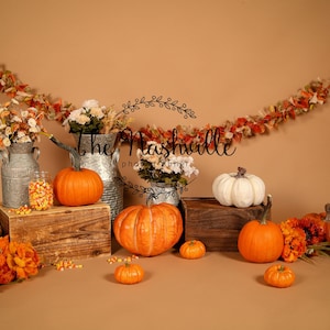 Herfstopstelling Pompoenen 1e verjaardag digitale achtergrond Alleen downloaden