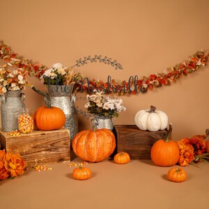 Herfstopstelling Pompoenen digitale achtergrond Alleen downloaden