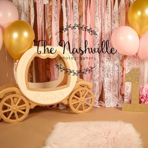 First birthday princess carriage digital background backdrop  Download Only
