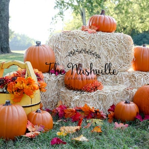 Holiday set-up Fall Pumpkins digitale achtergrond Download Only