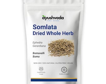 Somlata Dried Whole Herb | Ephedra Gerardiana | Somavalli | Soma