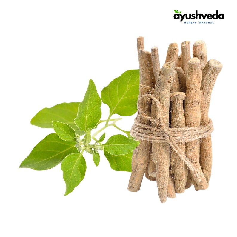 Ashwagandha Roots And Powder | Withania Somnifera | Indian Ginseng image 3