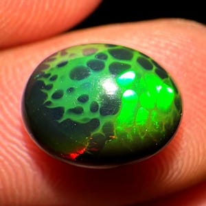 May include: A vibrant, oval-shaped gemstone with a striking green and black pattern. The gem's surface displays a network of dark, irregular shapes against a bright green background, with hints of red. The polished stone is held between fingers.