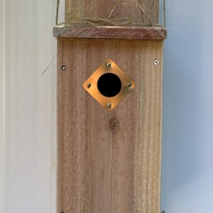 Può includere: Una casetta per uccelli rettangolare in legno con una finitura naturale a venature color marrone chiaro. Include una piastra metallica quadrata color rame centrata attorno a un foro d'ingresso circolare, fissata con quattro piccole viti. Un cappio di iuta è fissato sulla parte superiore.