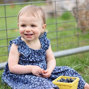 Blueberry girl store dress