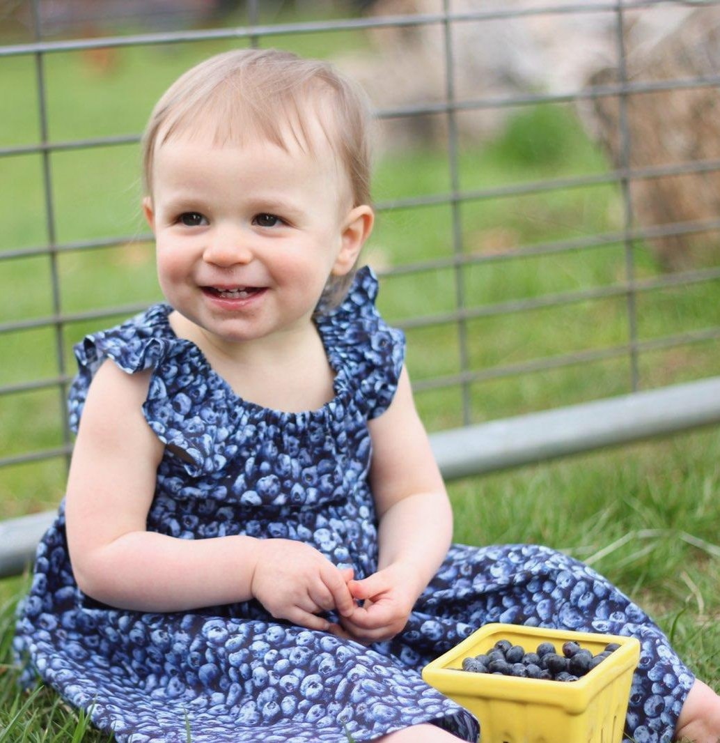Blueberry Baby Dress Etsy
