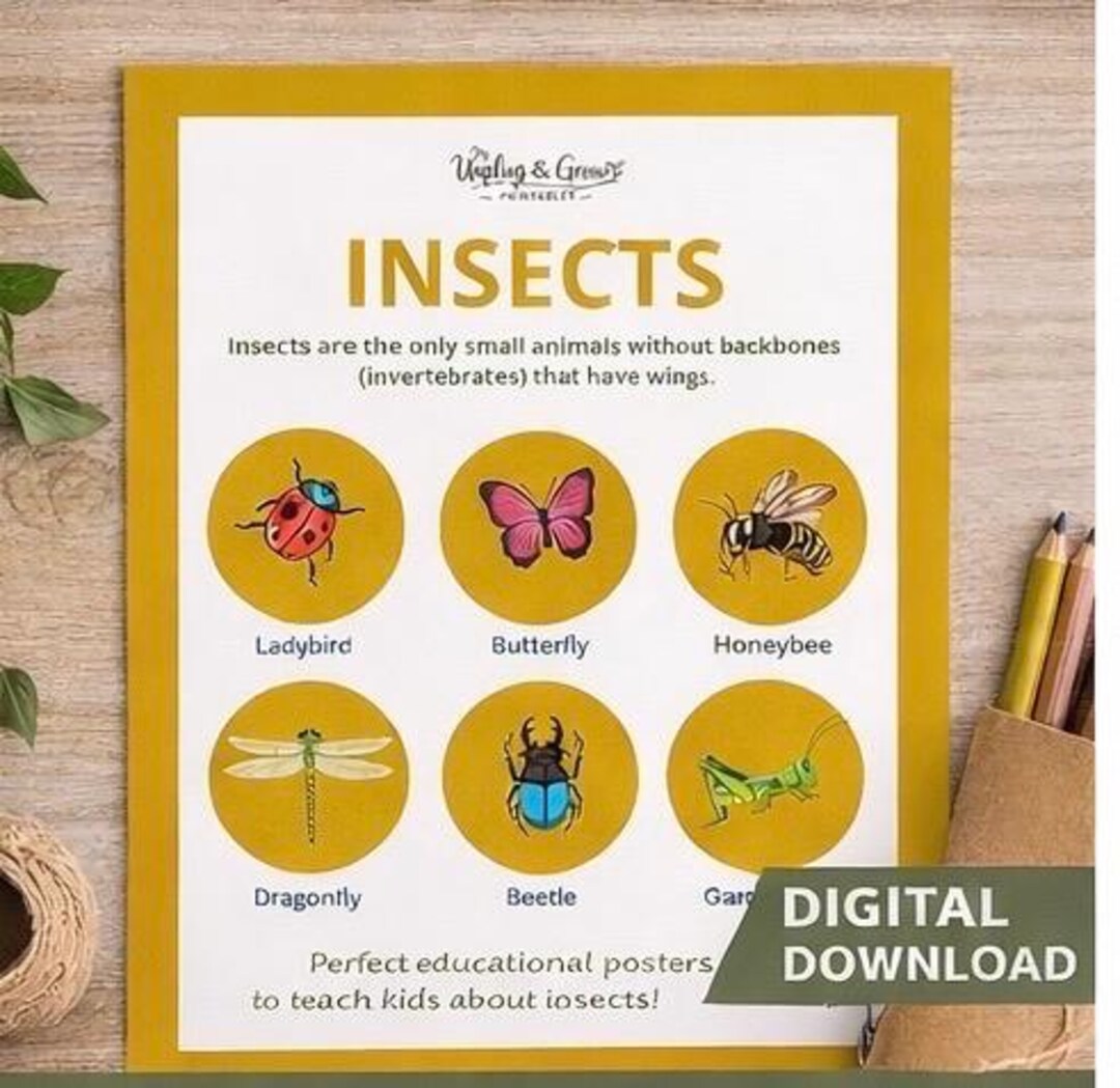 Us State Insects Poster Insects Poster - Get to Know Your Insects - Etsy
