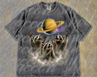 Raccoon Saturn Graphic T-Shirt, Vintage Space Comfort Colors Tee