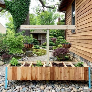 May include: A wooden raised garden bed with multiple compartments, filled with soil and young plants. The bed has light blue supports and is surrounded by river rocks. Two hanging baskets with plants are suspended from a wooden structure. The background features a lush garden.