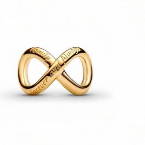 May include: A gold-colored infinity charm with the words "Family Forever and Always" engraved on it. The charm is in the shape of the infinity symbol, with a smooth, polished surface. The charm is set against a white background.