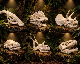 May include: A collection of six off-white dinosaur skull replicas arranged in two rows. The skulls feature detailed bone structures, including teeth, eye sockets, and horns, displayed against a dark, lush, green foliage background.