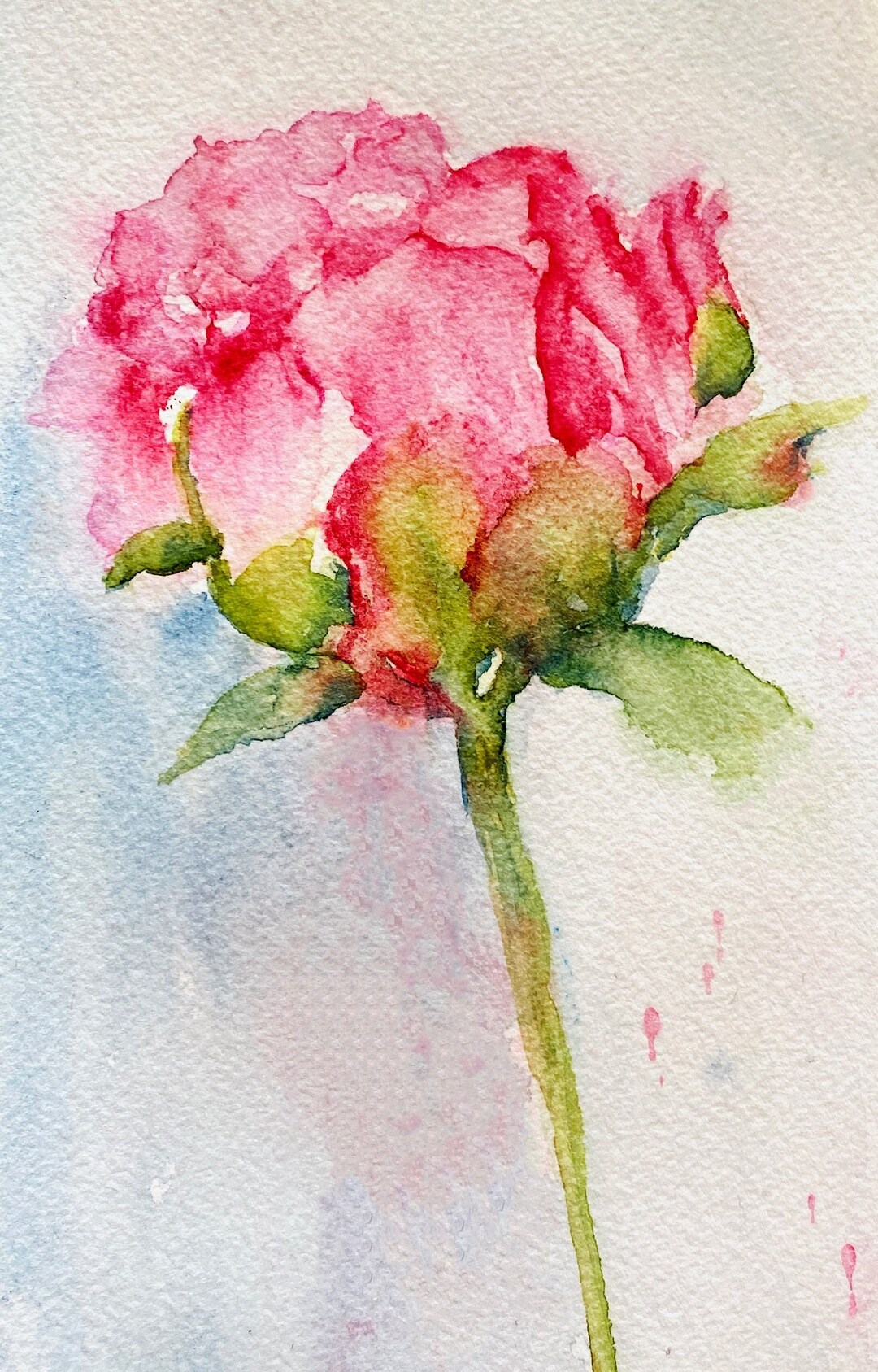 Peony Watercolor Note Cards: Blue Floral Art, Set of 10 - Etsy