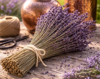 Grosso Lavender Bundles | French Dried Stems, Wedding Decor, Floral Bouquet
