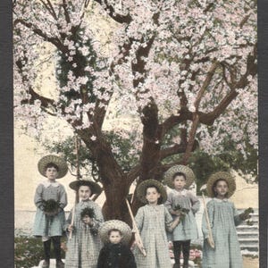 Palestine des années 1900 Rare carte postale ancienne Enfants sous un amandier, Eretz Yisrael, sioniste judaïque, édition « Levanon » juive