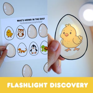 May include: A printable activity sheet titled Who's Hiding in the Egg? featuring illustrations of eggs and animals including a chick, owl, lizard, penguin, and turtle. The activity involves shining a light through cut-out egg shapes to reveal the animal.