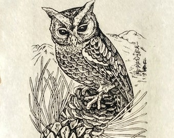 Flammulated Owlet - Relief Print