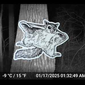 May include: A black and white sticker of a flying squirrel is affixed to a tree trunk. The squirrel is depicted mid-flight with its arms and legs outstretched. The image includes the date, time, and temperature in Fahrenheit and Celsius.