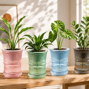 Op de afbeelding: Vier cilindervormige glazen plantenpotten met verticale ribbelstructuur, elk met een groene kamerplant. De potten zijn uitgevoerd in doorschijnend roze, lichtgroen, lichtblauw en donkergrijs en staan op een rij op een houten ondergrond.
