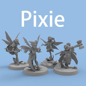 May include: Four grey miniature figurines labeled Pixie, each featuring wings and distinct poses. One holds a bow, another a large hammer, while others stand on circular bases with textured ground details. The figures are rendered in a solid grey tone.