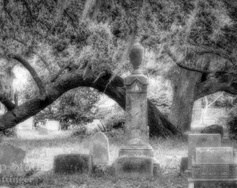Cemetery Charleston South Carolina Headstones Live Oak Tree Spanish Moss Black and White Fine Art Photography Print