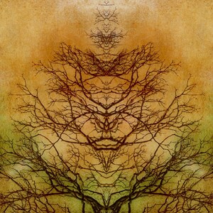 Tree of Life Abstract Mirror Image Rorschach Inkblot Tree Branches Square Art Print or Giclee Gallery Wrap Canvas