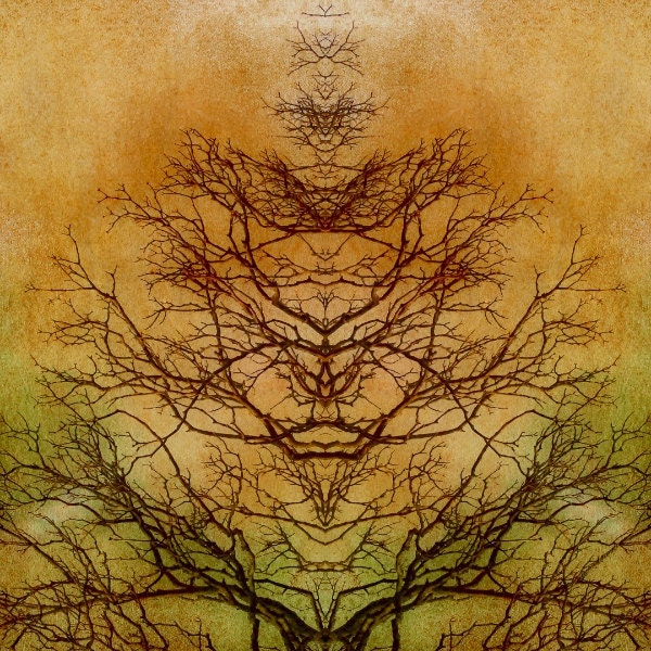 Tree of Life Abstract Mirror Image Rorschach Inkblot Tree Branches Square Art Print or Giclee Gallery Wrap Canvas