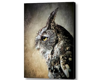 Eastern Screech Owl Portrait, Owl Wall Art Decor, Owl Photography Giclee Print or Canvas