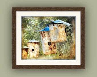 Country Farmhouse Decor Birdhouse Still Life Garden Scene, Country Life Photography Print or Canvas