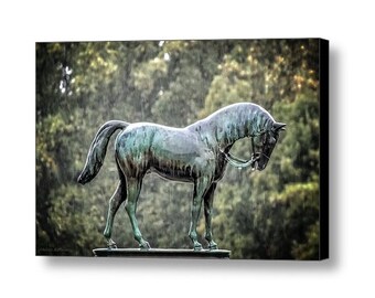 Still Life Bronze Horse Statue Rainy Day Cemetery Memorial Somber Poignant  Fine Art Photography Print or Gallery Canvas Wrap Giclee