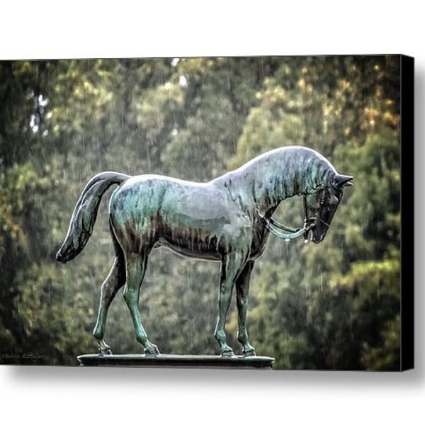 Still Life Bronze Horse Statue Rainy Day Cemetery Memorial Somber Poignant  Fine Art Photography Print or Gallery Canvas Wrap Giclee