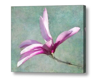 Pink Tulip Magnolia Tree Bloom Soft Dreamy Pink and Teal Floral Fine Art Photography Print or Canvas