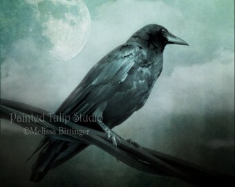 Surreal Gothic Raven Crow Moon Print or Giclee Gallery Wrap Canvas