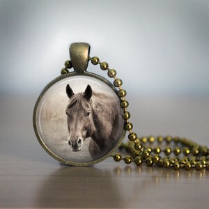 Chestnut Horse Photo Pendant Necklace: Equestrian Jewelry Gift