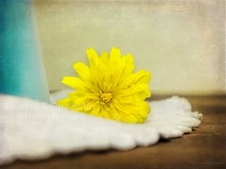 Rustic Cottage Chic Still Life Yellow Dandelion Flower Weed Yellow Blue White Brown Giclee Fine Art Print or Canvas Wall Art image 4