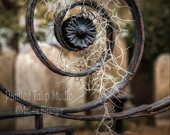 Charleston SC Cemetery Gate, Graveyard, Tombstones, Gothic Haunting Fine Art Photography Giclee Print or Canvas