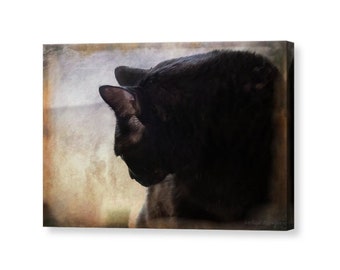Black Cat Portrait Fine Art Photography Giclee Print or Canvas, Gothic Black Cat Wall Art