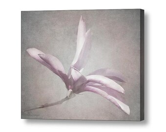 Pink Tulip Magnolia Blossom Romantic Feminine Bed Bath Spa Cottage Chic Elegant Pastel Pink Gray Fine Art Photo Print or Canvas Wrap Giclee