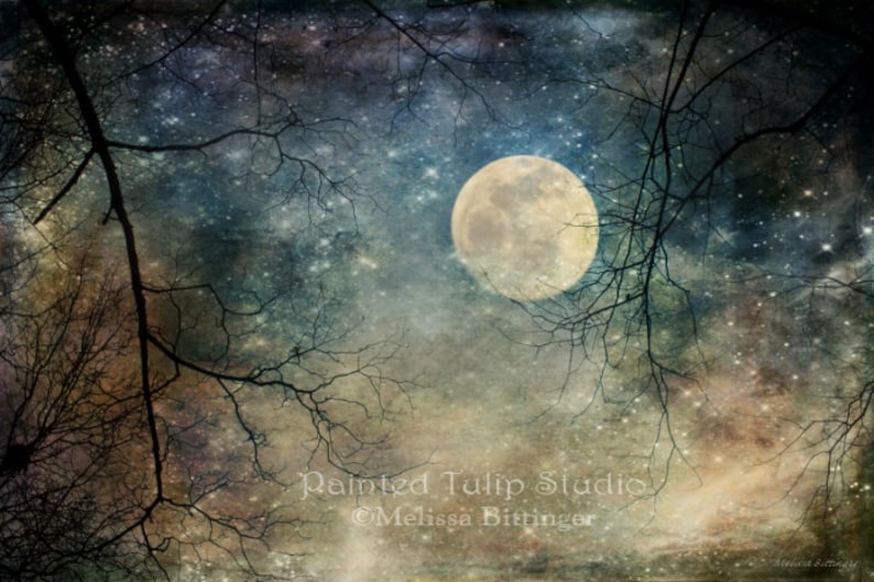 Surreal Landscape Sky Nighttime Moon Stars Tree Branches Fantasy Woodland Magical Landscape Full Moon Giclee Fine Print or Canvas image 3