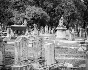 Magnolia Cemetery Landscape Victorian Era Charleston South Carolina Black and White Fine Art Photography Print or Gallery Wrap Canvas Giclee