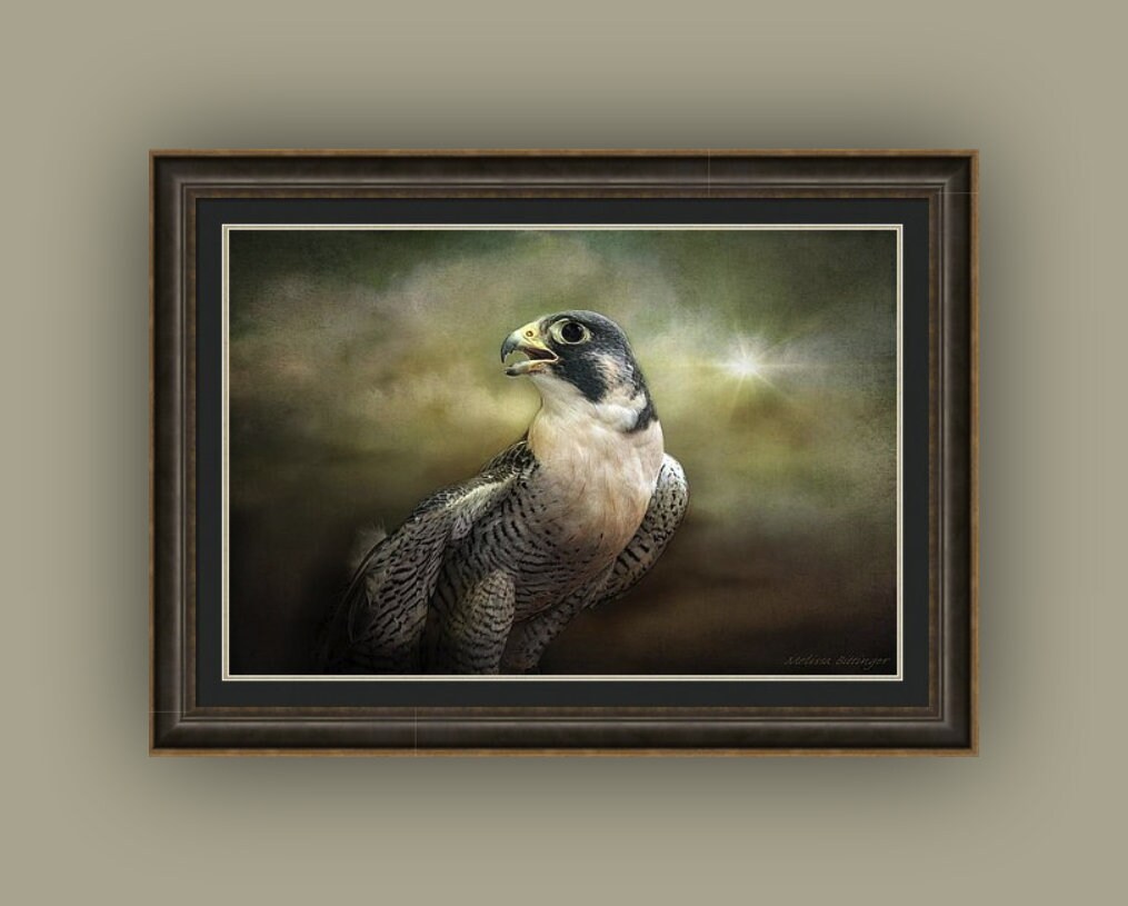Wildbird outlet peregrine sling