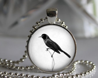 Black Bird Pendant Necklace, Black Bird Black and White Photo Pendant Necklace Jewelry