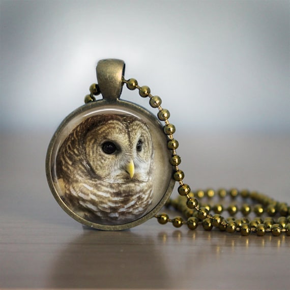 Barred Owl Photo Pendant Necklace - Owl Totem Spirit Guide Charm