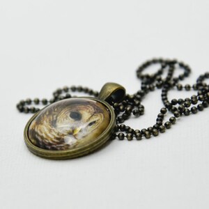 Puede incluir: Un collar de bronce con un colgante redondo de vidrio que presenta una imagen de primer plano de la cara de un b&uacute;ho.