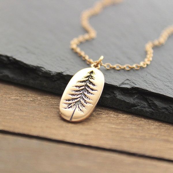 Collier arbre or, collier pin, pendentif arbre, collier pin, collier arbre hiver, collier à feuilles persistantes, collier pin