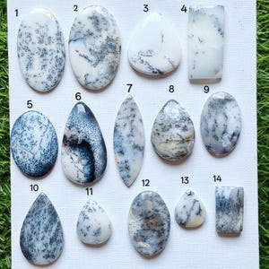 May include: A collection of fourteen polished dendritic agate cabochons arranged in rows on a white surface, each numbered one through fourteen. These stones feature white backgrounds with dark, fern-like inclusions in various shapes including ovals, teardrops, and rectangles.